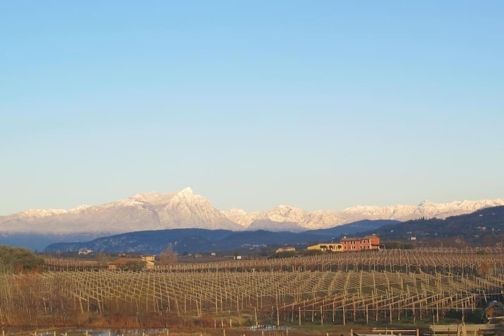 Country Apartment, Near Bardolino And Lazise Calmasino エクステリア 写真